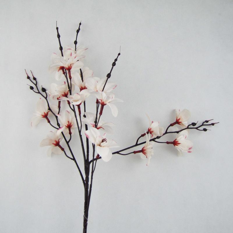 Gałązka wiosenna kwiaty białe